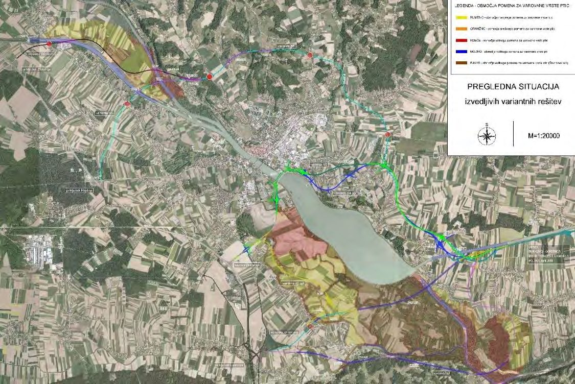 Slika 2: Situacija variant na odseku Ptuj – Markovci